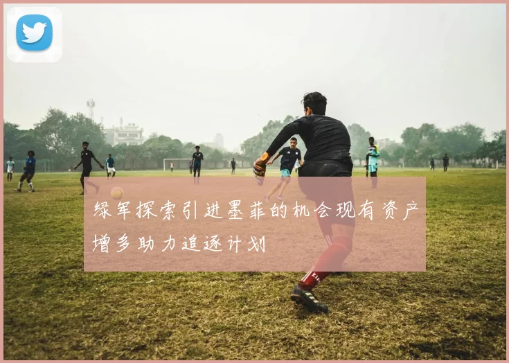 绿军探索引进墨菲的机会现有资产增多助力追逐计划